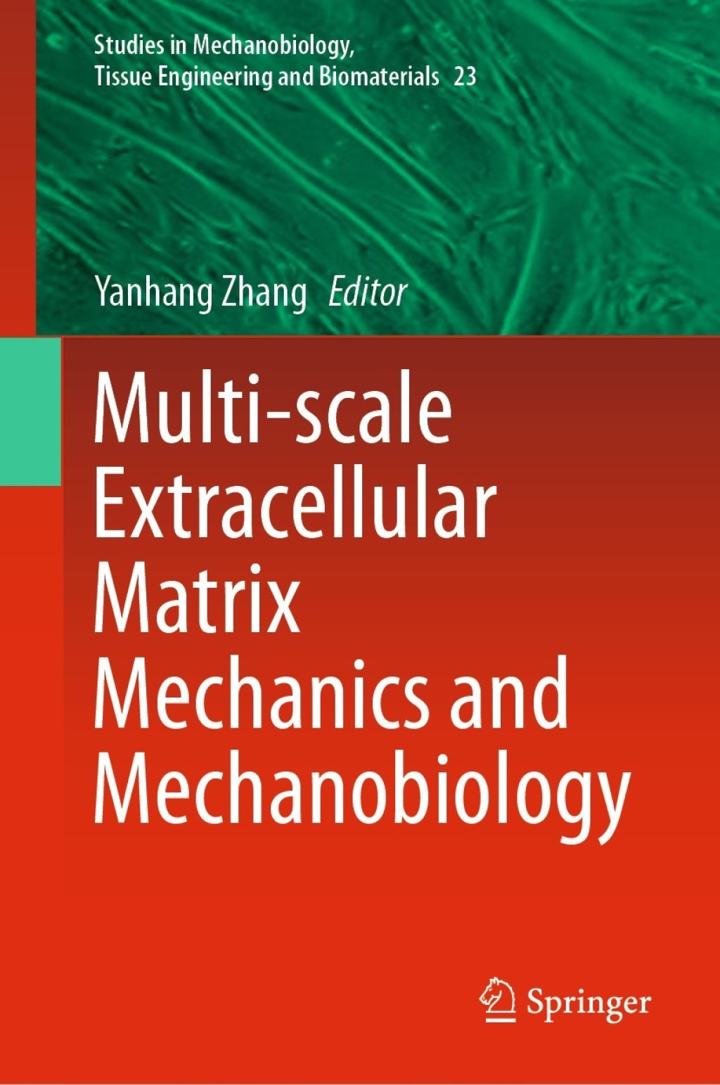 Multi-scale Extracellular Matrix Mechanics and Mechanobiology 