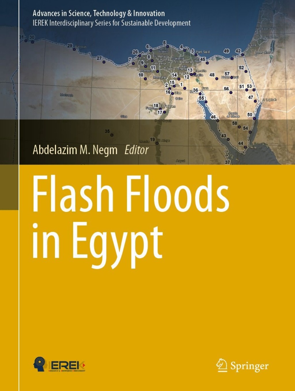 Flash Floods in Egypt 1st Edition
