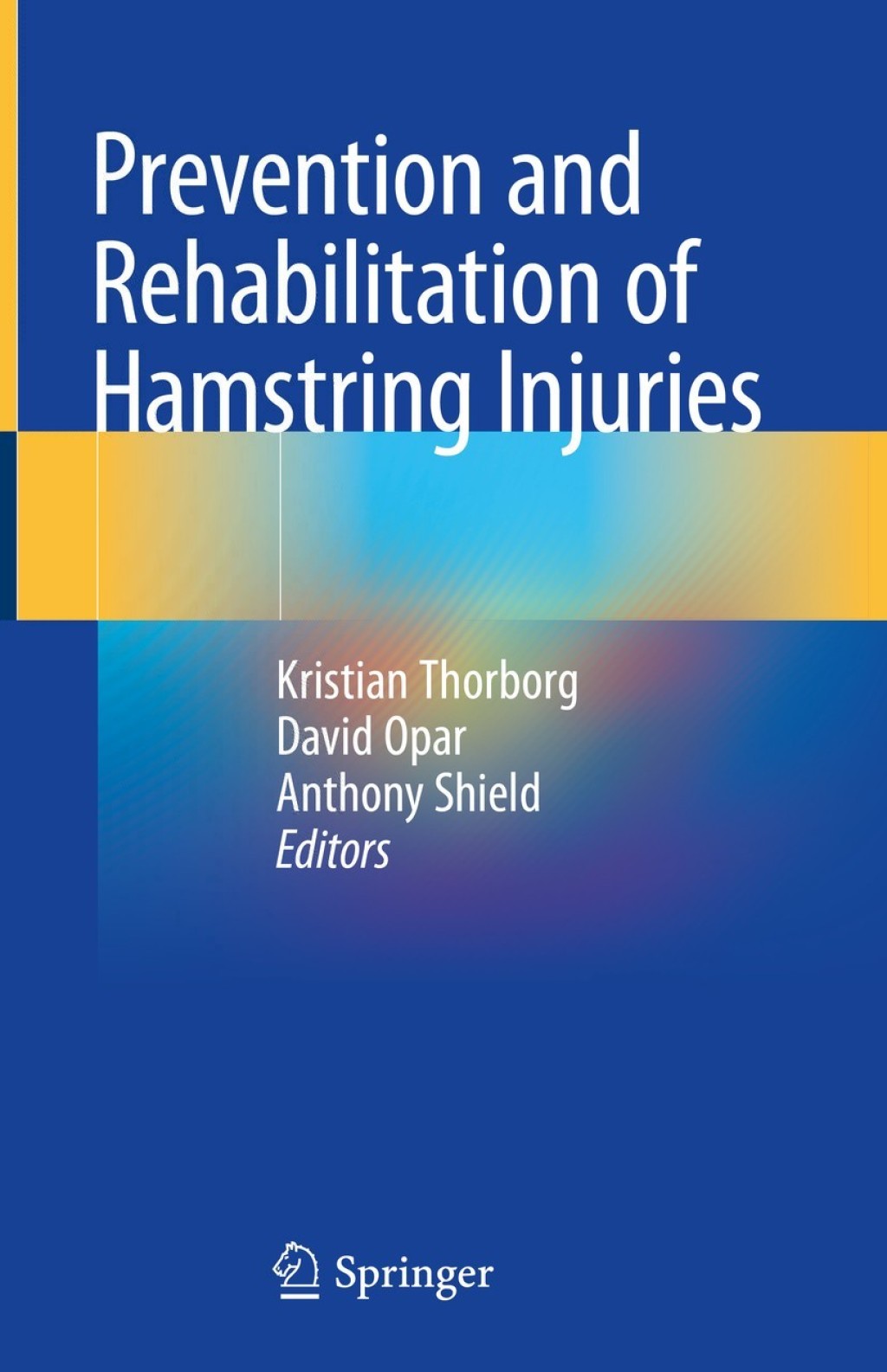 Prevention and Rehabilitation of Hamstring Injuries 1st Edition