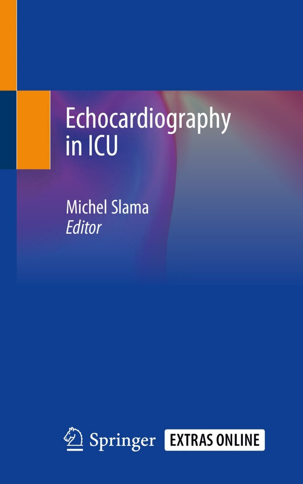 Echocardiography in ICU 1st Edition