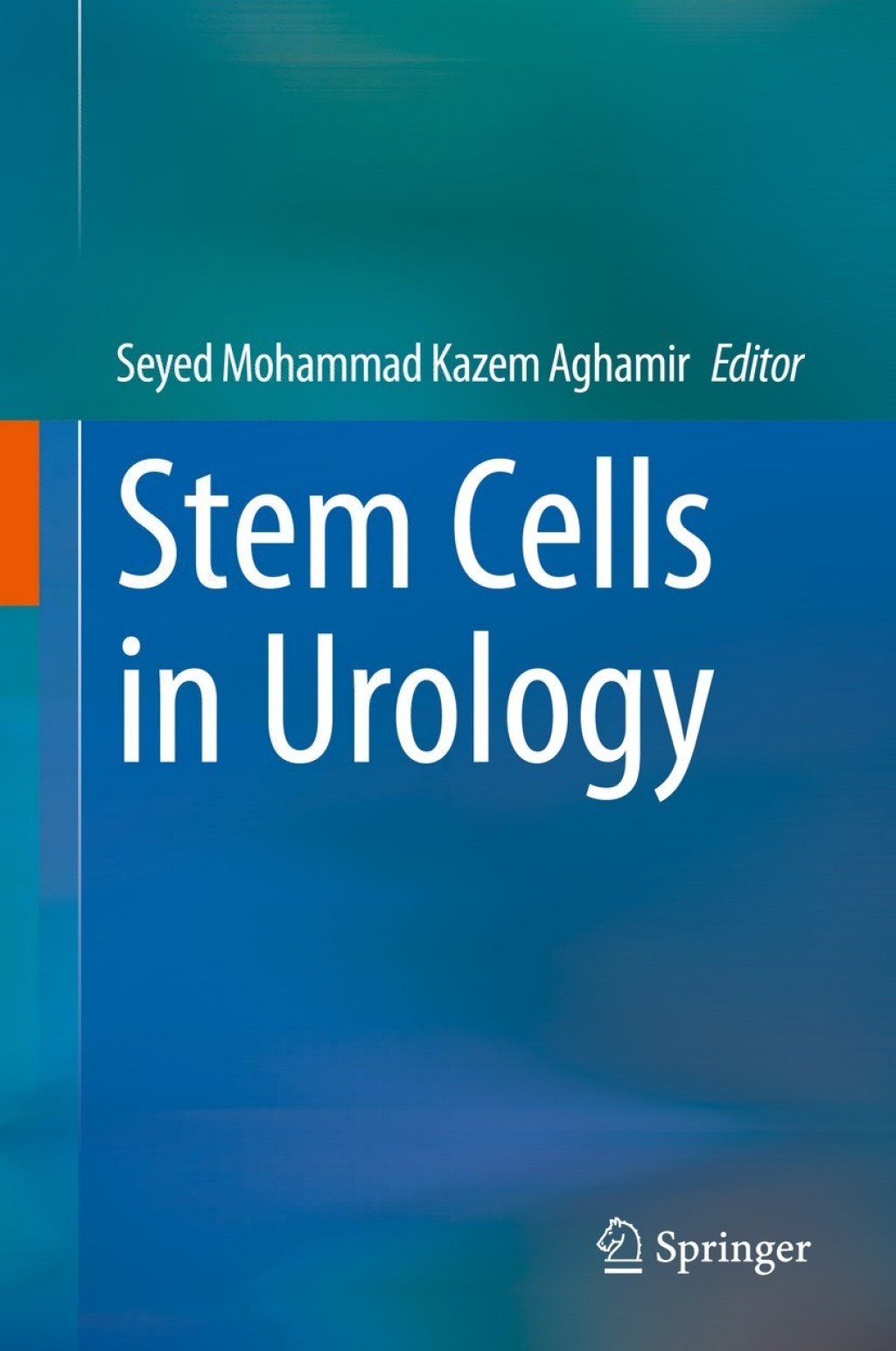 Stem Cells in Urology 1st Edition