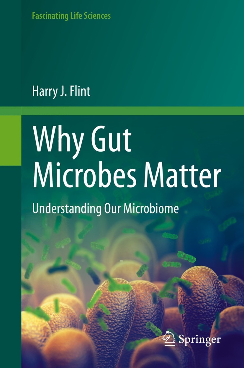 Why Gut Microbes Matter Understanding Our Microbiome 