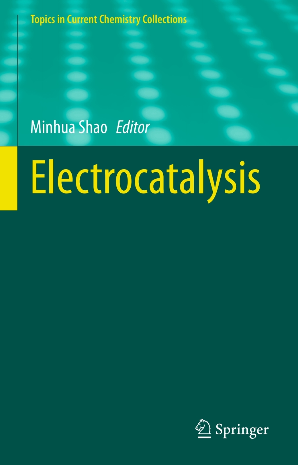 Electrocatalysis 1st Edition