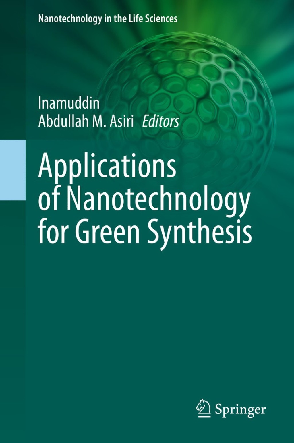 Applications of Nanotechnology for Green Synthesis 1st Edition