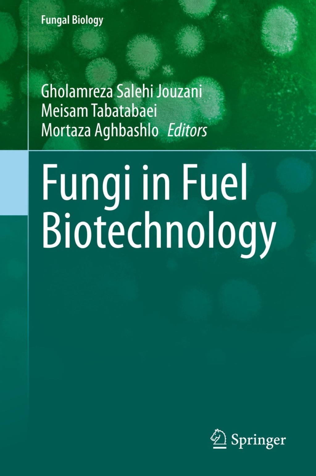 Fungi in Fuel Biotechnology 1st Edition