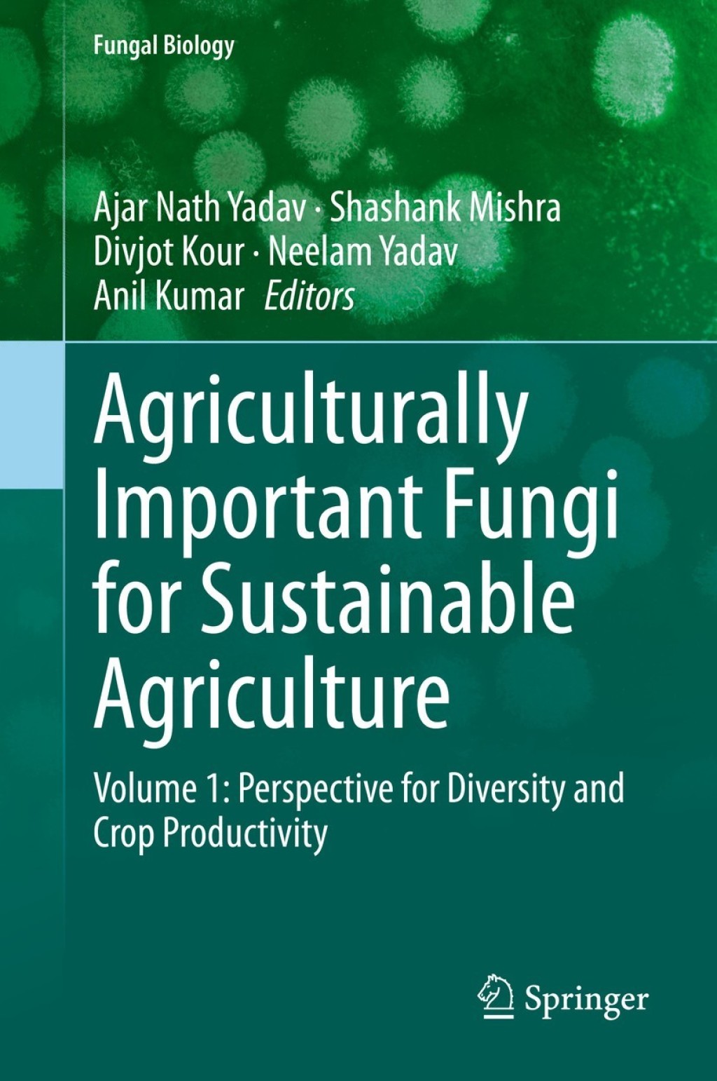 Agriculturally Important Fungi for Sustainable Agriculture Volume 1: Perspective for Diversity and Crop Productivity 1st Edition