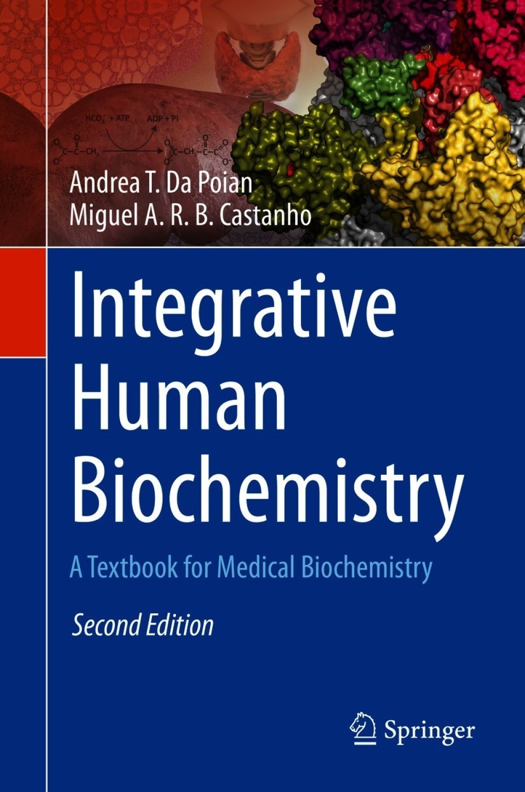 Integrative Human Biochemistry A Textbook for Medical Biochemistry 2nd Edition