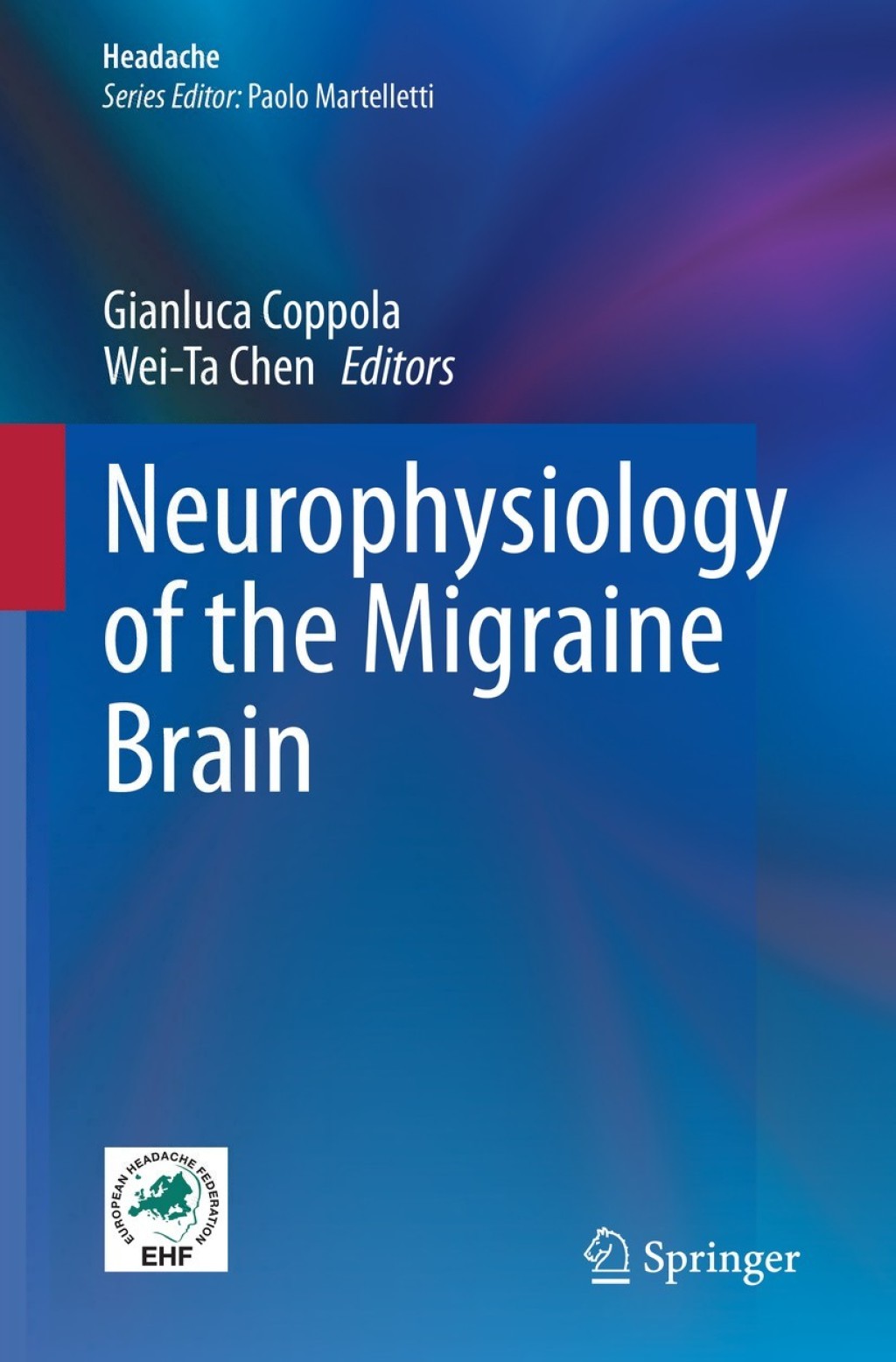 Neurophysiology of the Migraine Brain 1st Edition