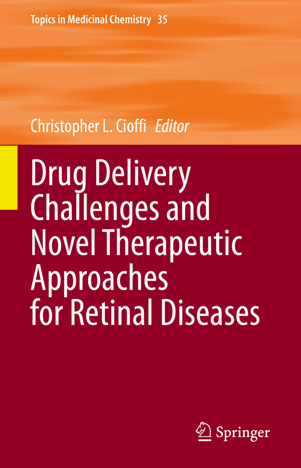 Drug Delivery Challenges and Novel Therapeutic Approaches for Retinal Diseases 1st Edition