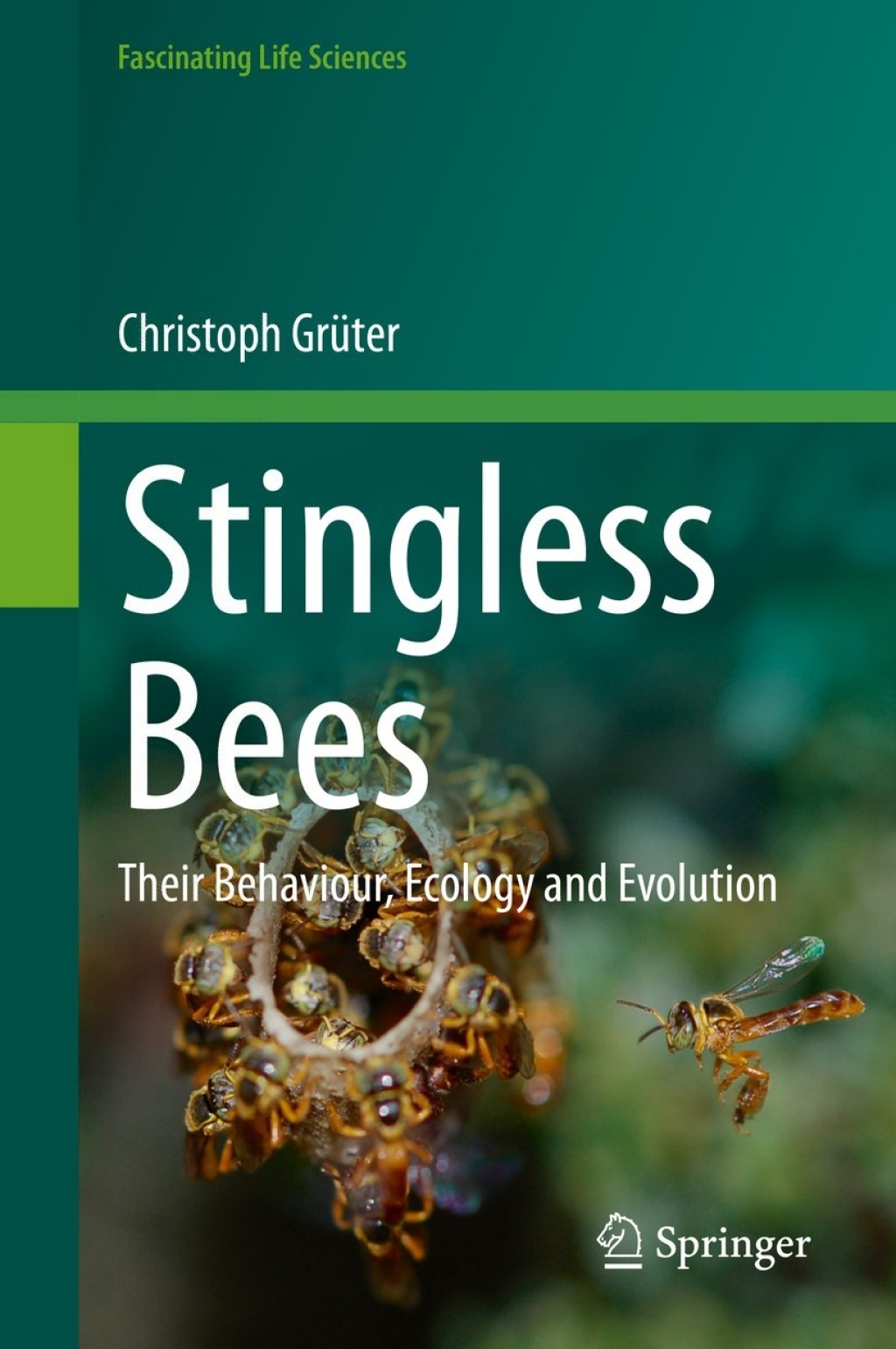 Stingless Bees Their Behaviour, Ecology and Evolution 