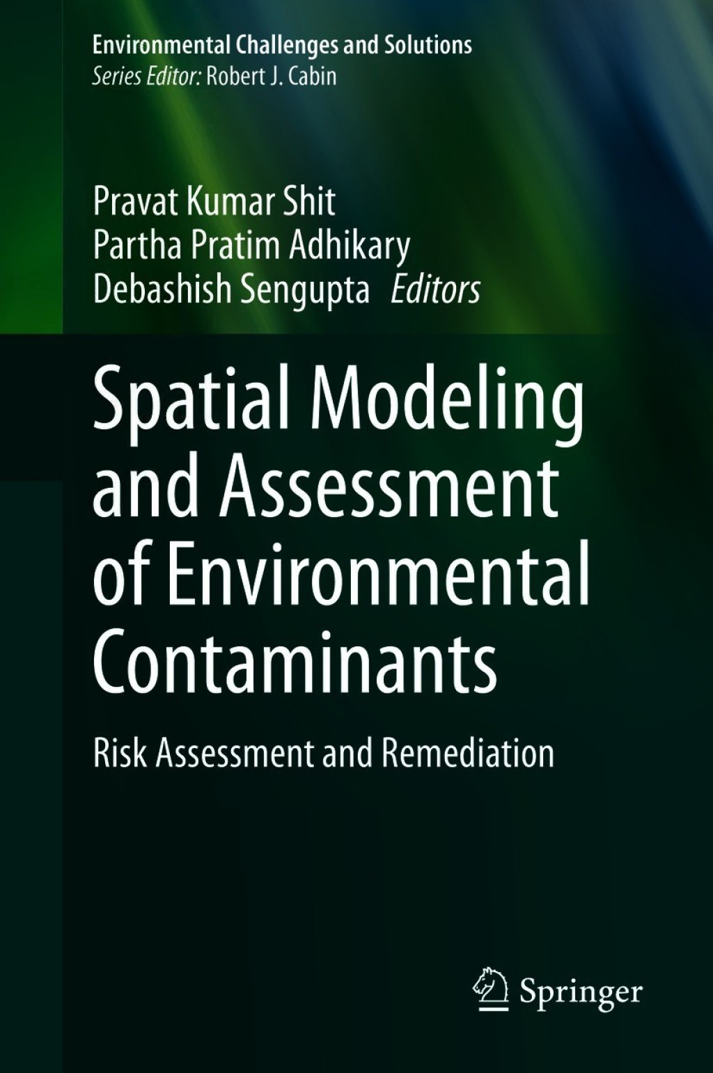 Spatial Modeling and Assessment of Environmental Contaminants Risk Assessment and Remediation 