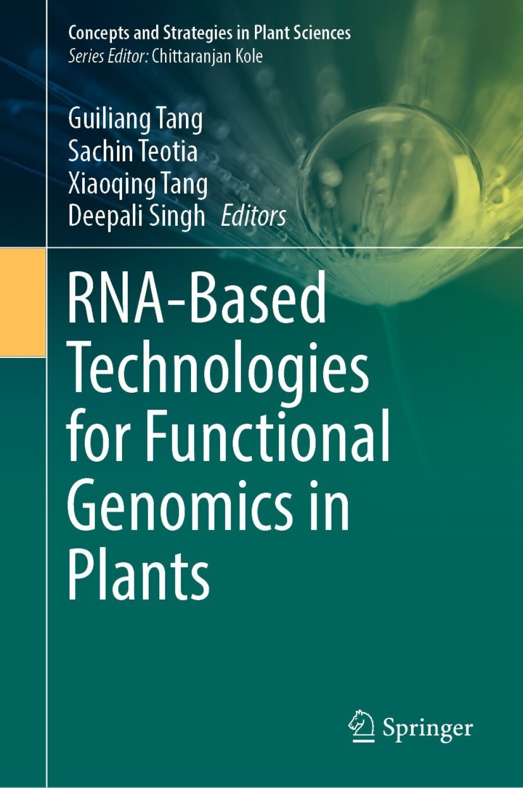 RNA-Based Technologies for Functional Genomics in Plants 