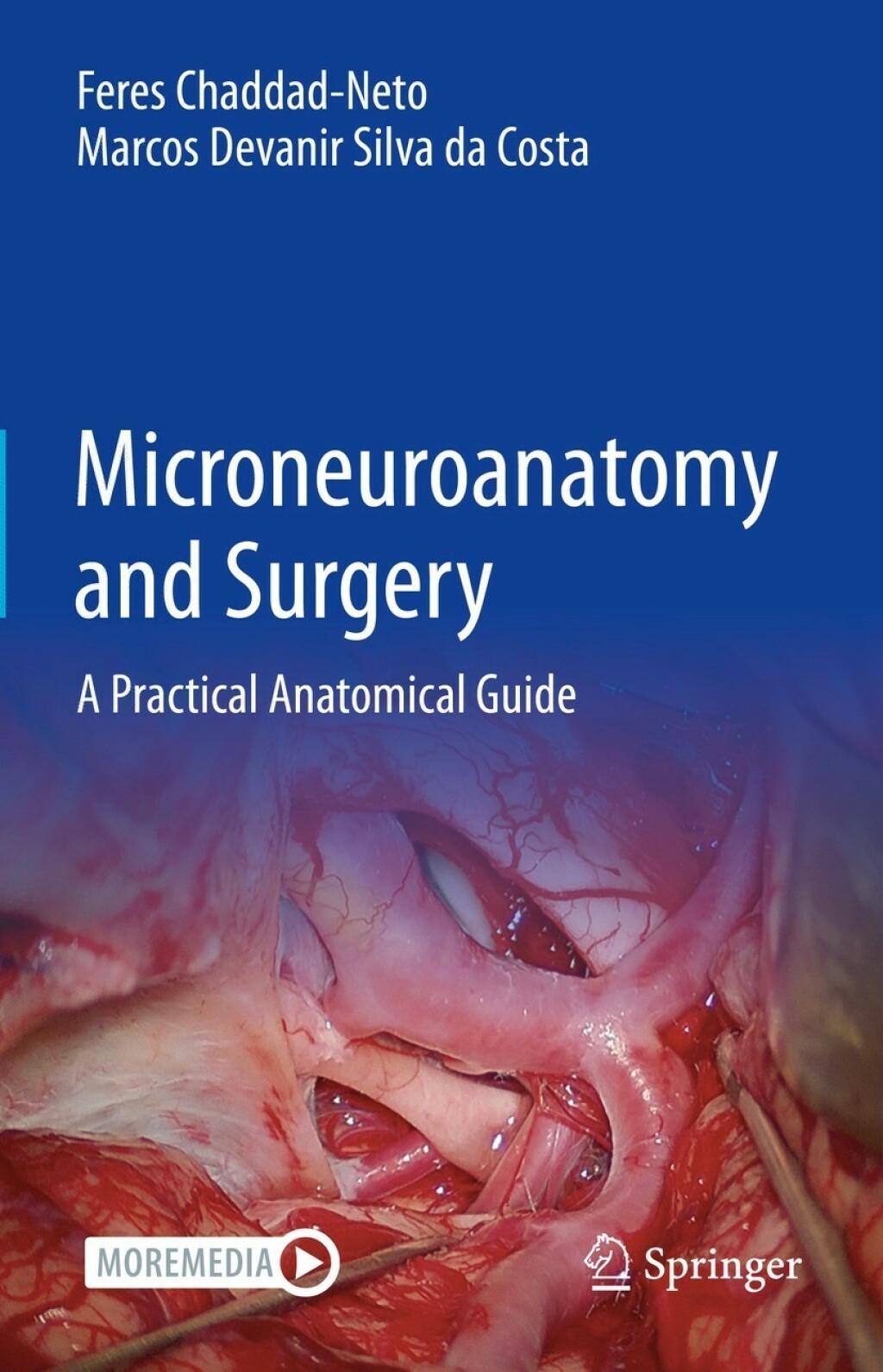 Microneuroanatomy and Surgery A Practical Anatomical Guide 
