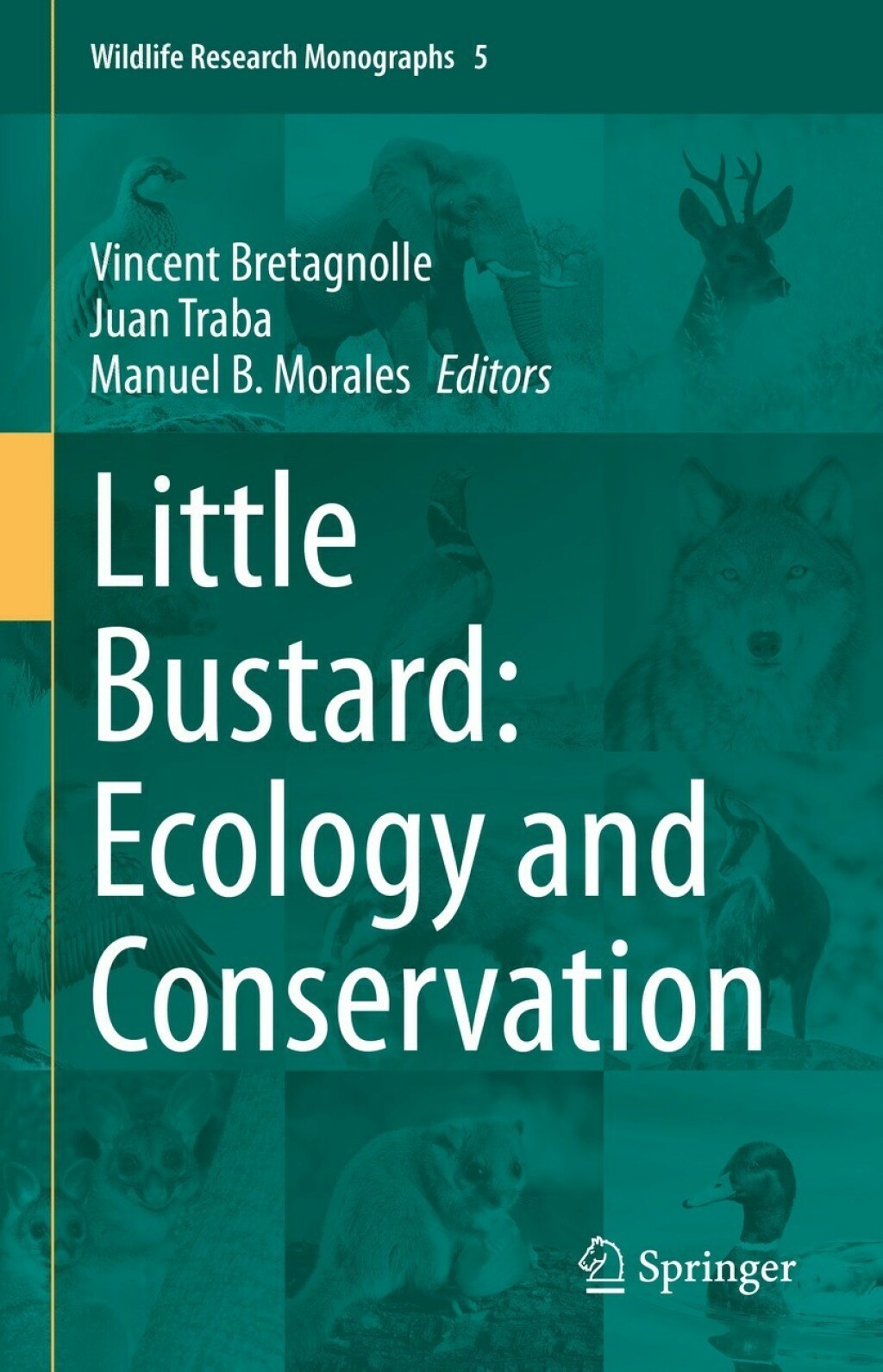 Little Bustard: Ecology and Conservation 