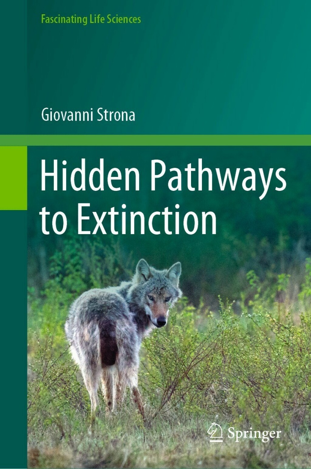 Hidden Pathways to Extinction 