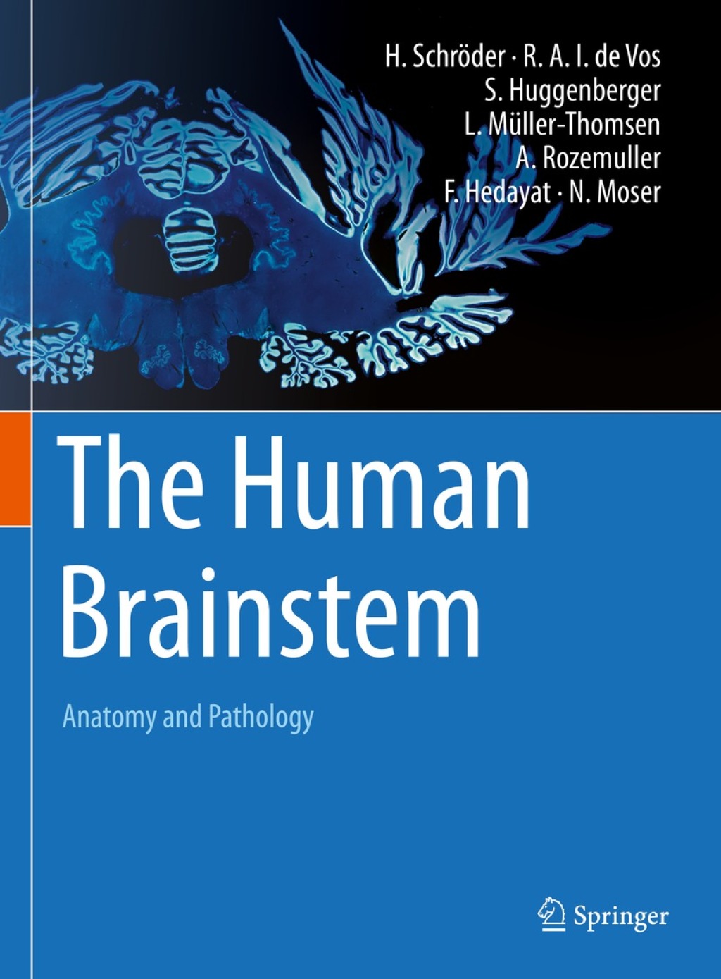 The Human Brainstem Anatomy and Pathology 