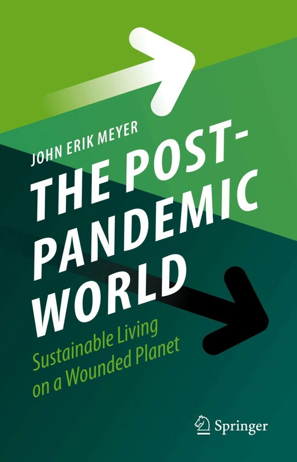 The Post-Pandemic World Sustainable Living on a Wounded Planet 