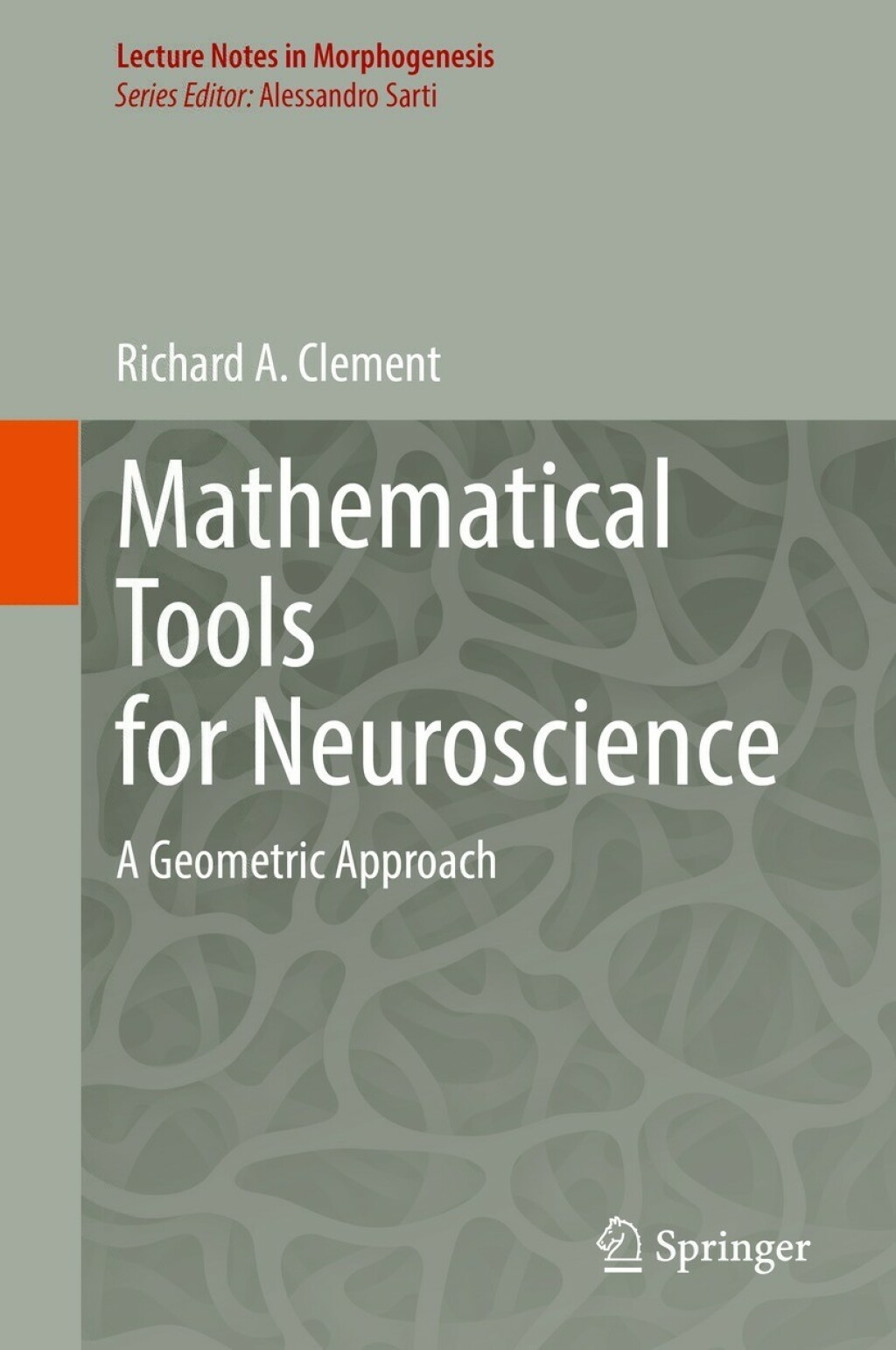 Mathematical Tools for Neuroscience A Geometric Approach 