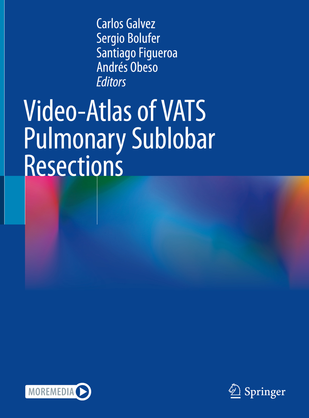 Video-Atlas of VATS Pulmonary Sublobar Resections 