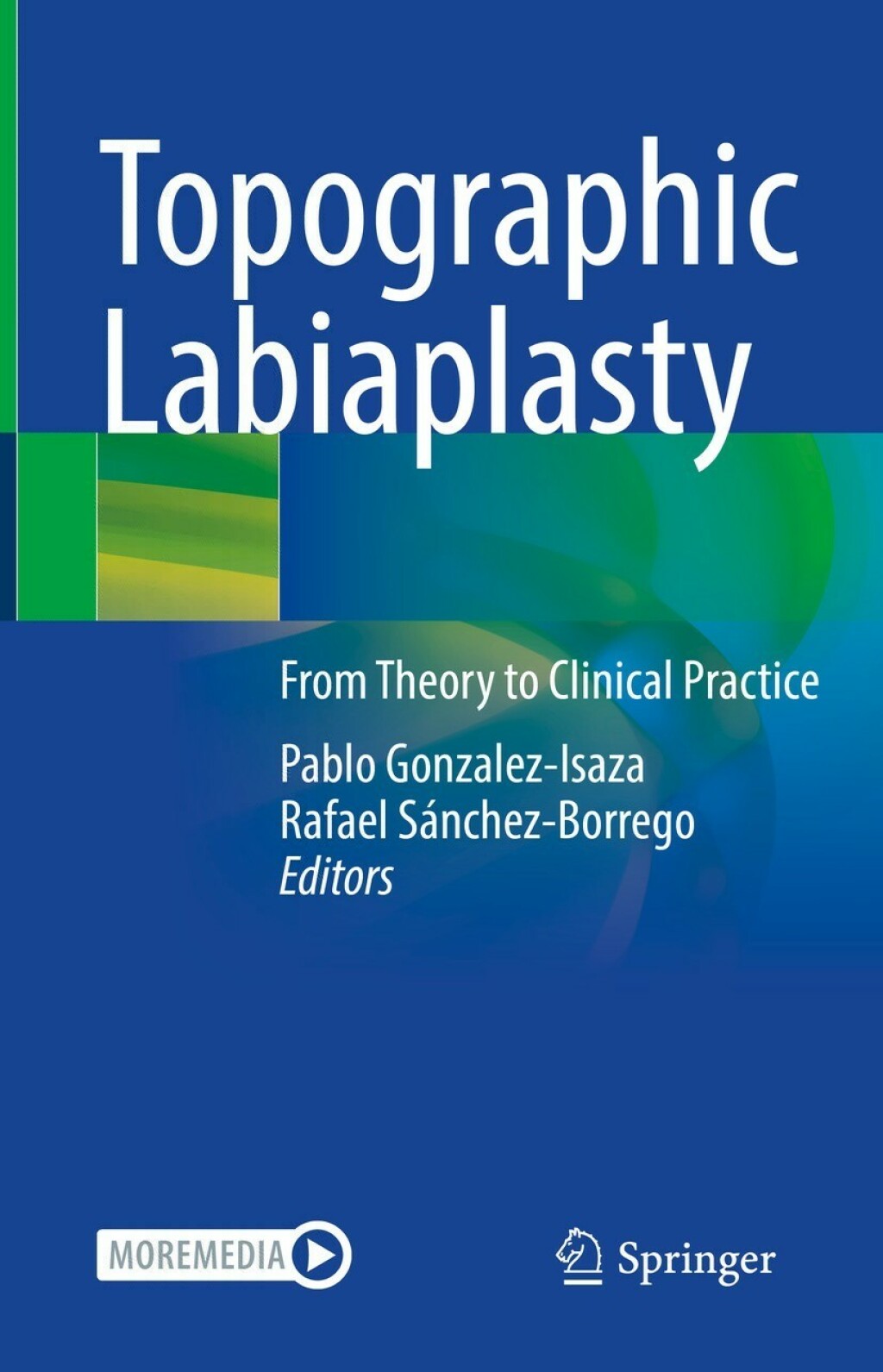 Topographic Labiaplasty From Theory to Clinical Practice 