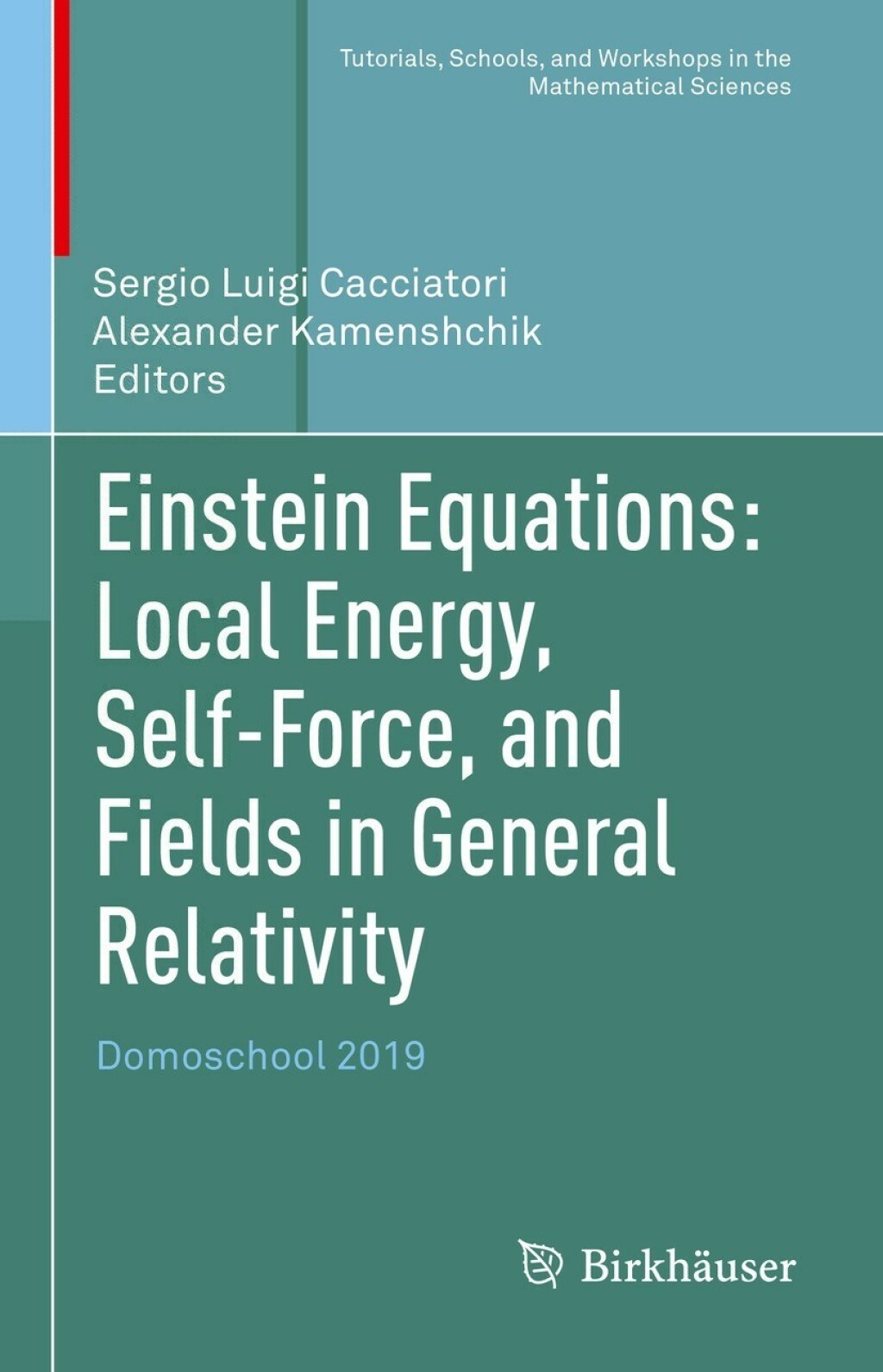 Einstein Equations: Local Energy, Self-Force, and Fields in General Relativity Domoschool 2019 