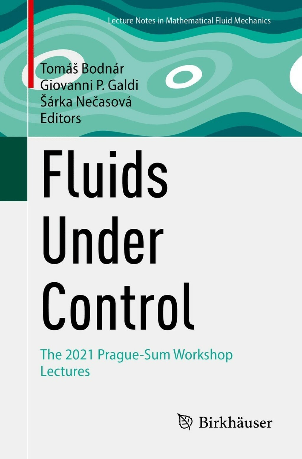 Fluids Under Control The 2021 Prague-Sum Workshop Lectures 