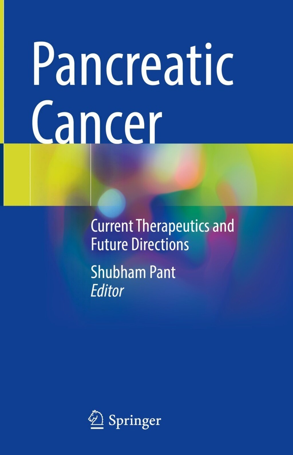 Pancreatic Cancer Current Therapeutics and Future Directions 
