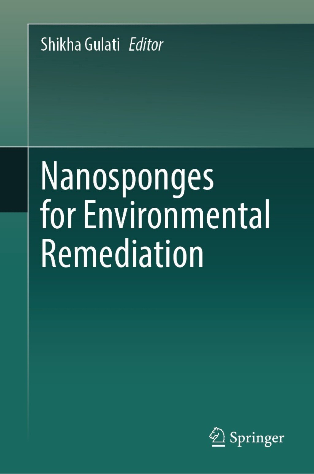Nanosponges for Environmental Remediation 