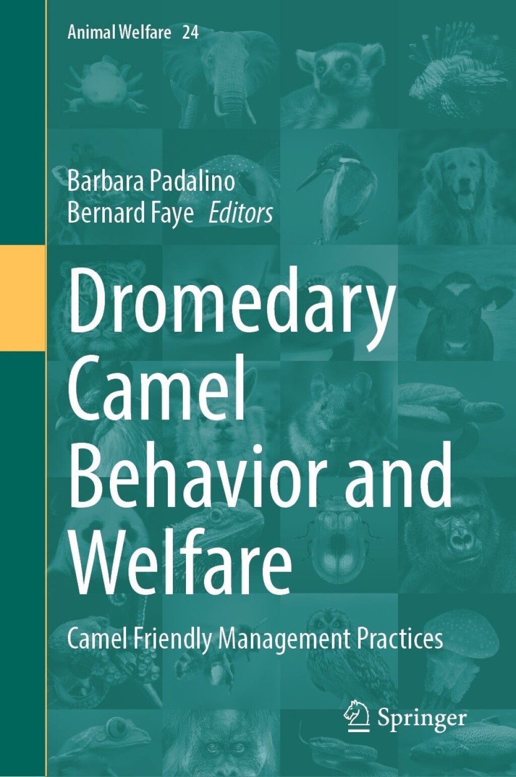 Dromedary Camel Behavior and Welfare Camel Friendly Management Practices 