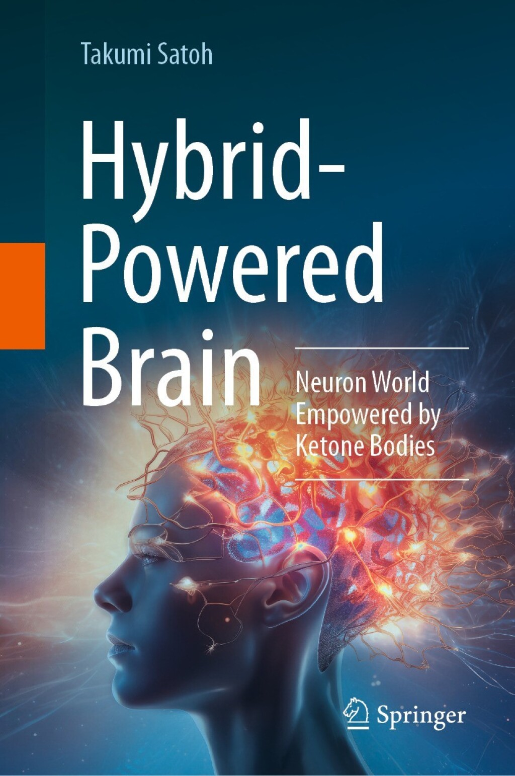 Hybrid-Powered Brain Neuron World Empowered by Ketone Bodies 