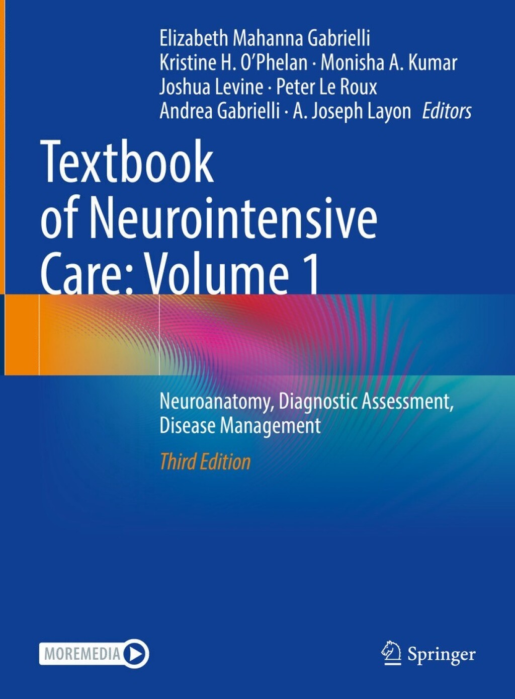 Textbook of Neurointensive Care: Volume 1 Neuroanatomy, Diagnostic Assessment, Disease Management 3rd Edition