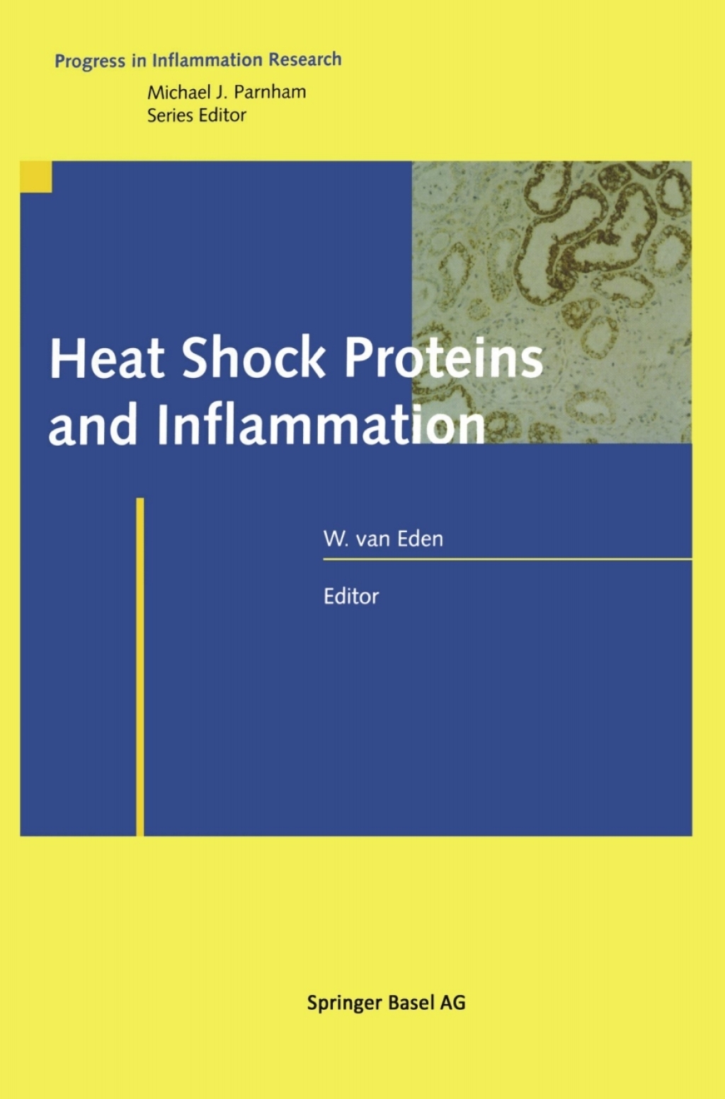 Heat Shock Proteins and Inflammation 1st Edition