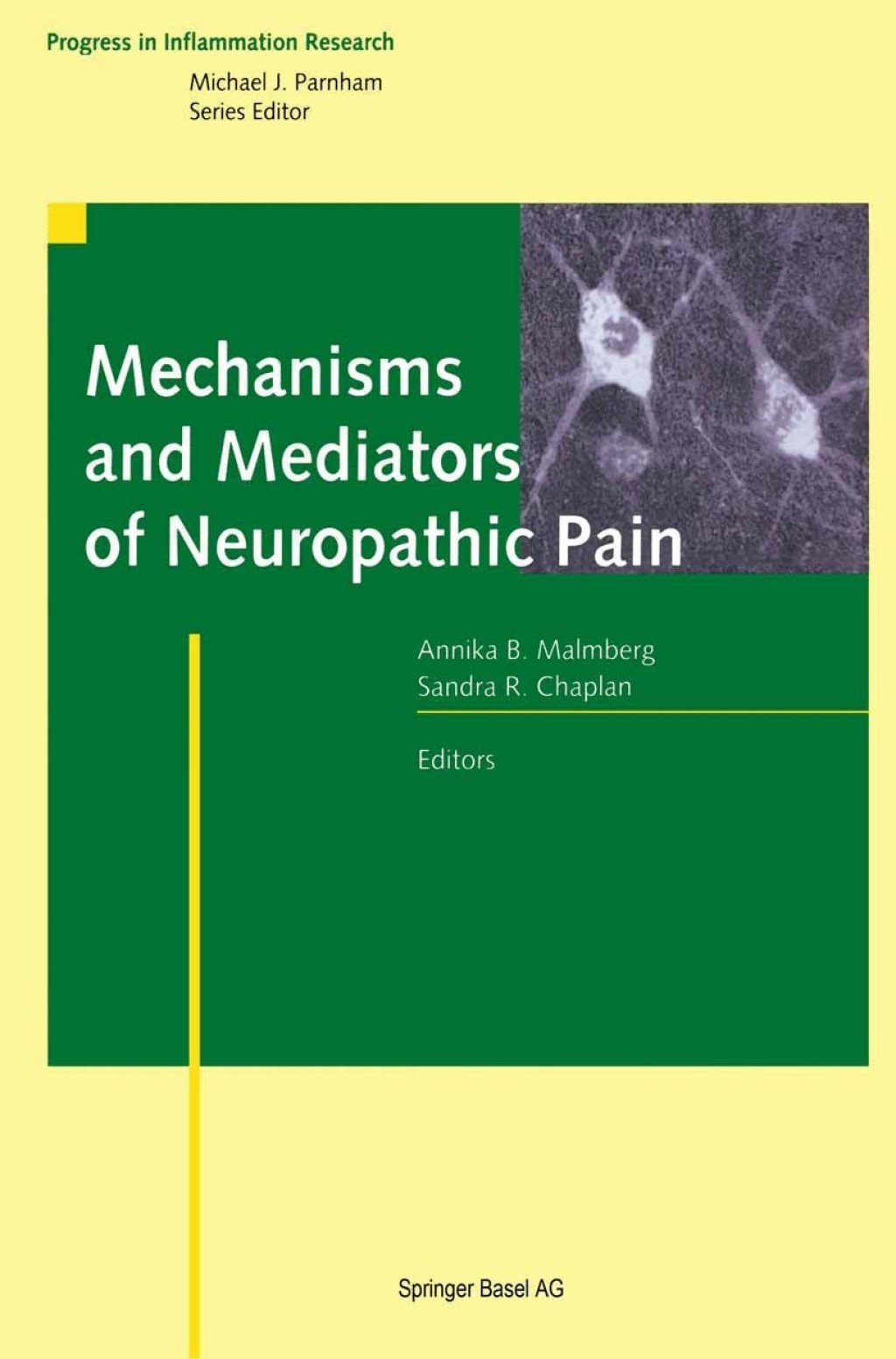 Mechanisms and Mediators of Neuropathic Pain 1st Edition