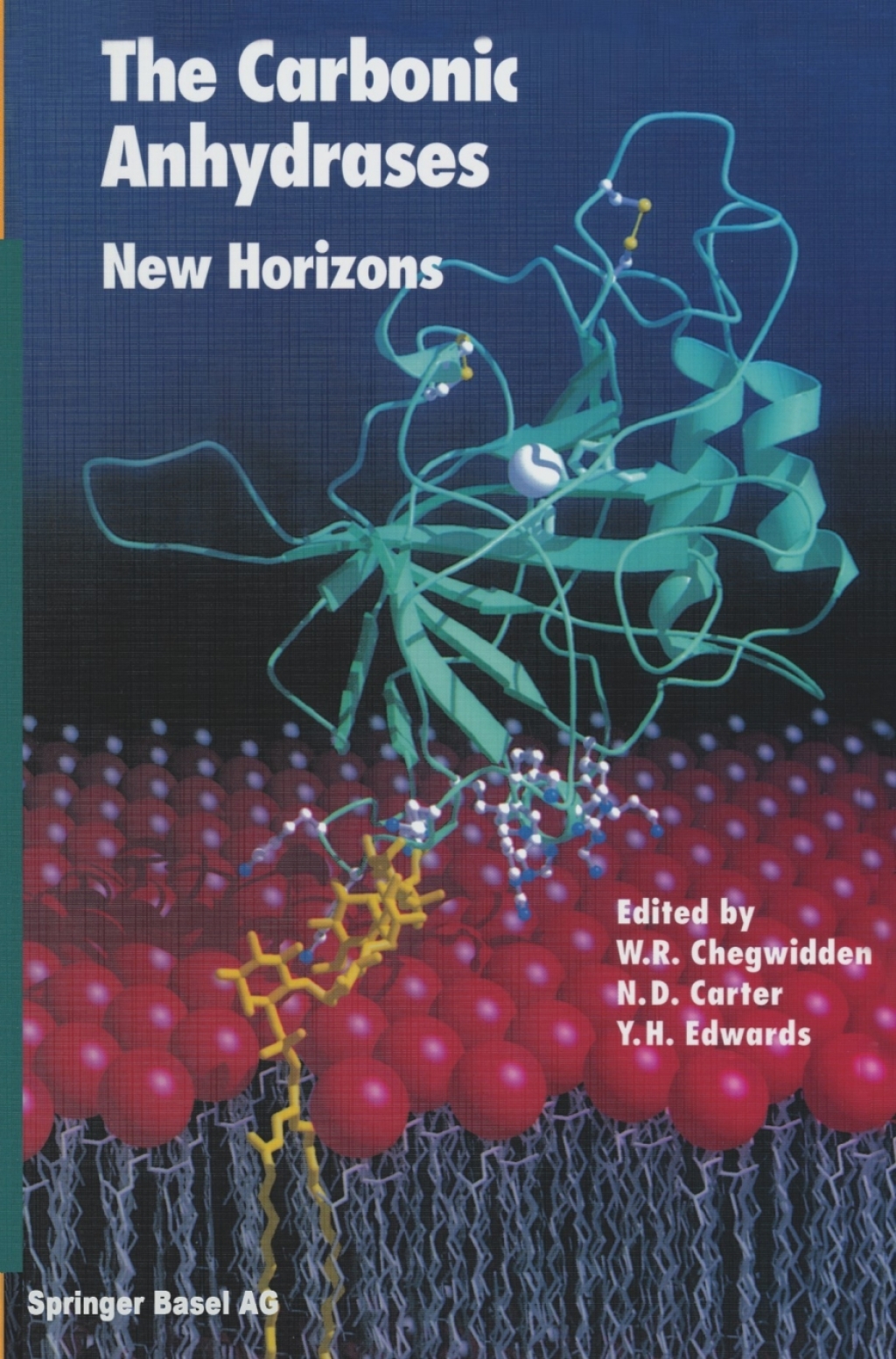 The Carbonic Anhydrases New Horizons 1st Edition