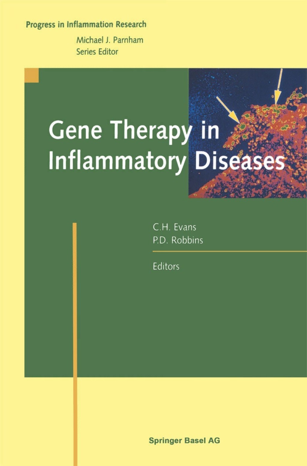 Gene Therapy in Inflammatory Diseases 1st Edition