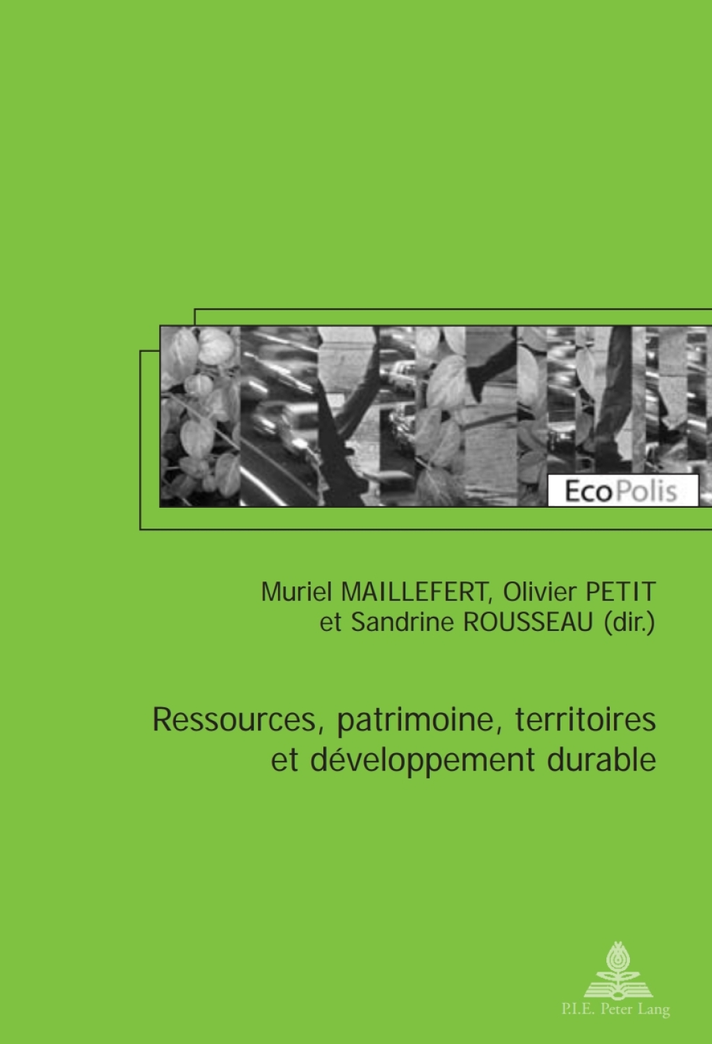 Ressources, patrimoine, territoires et dÃƒÂ©veloppement durable 1st Edition