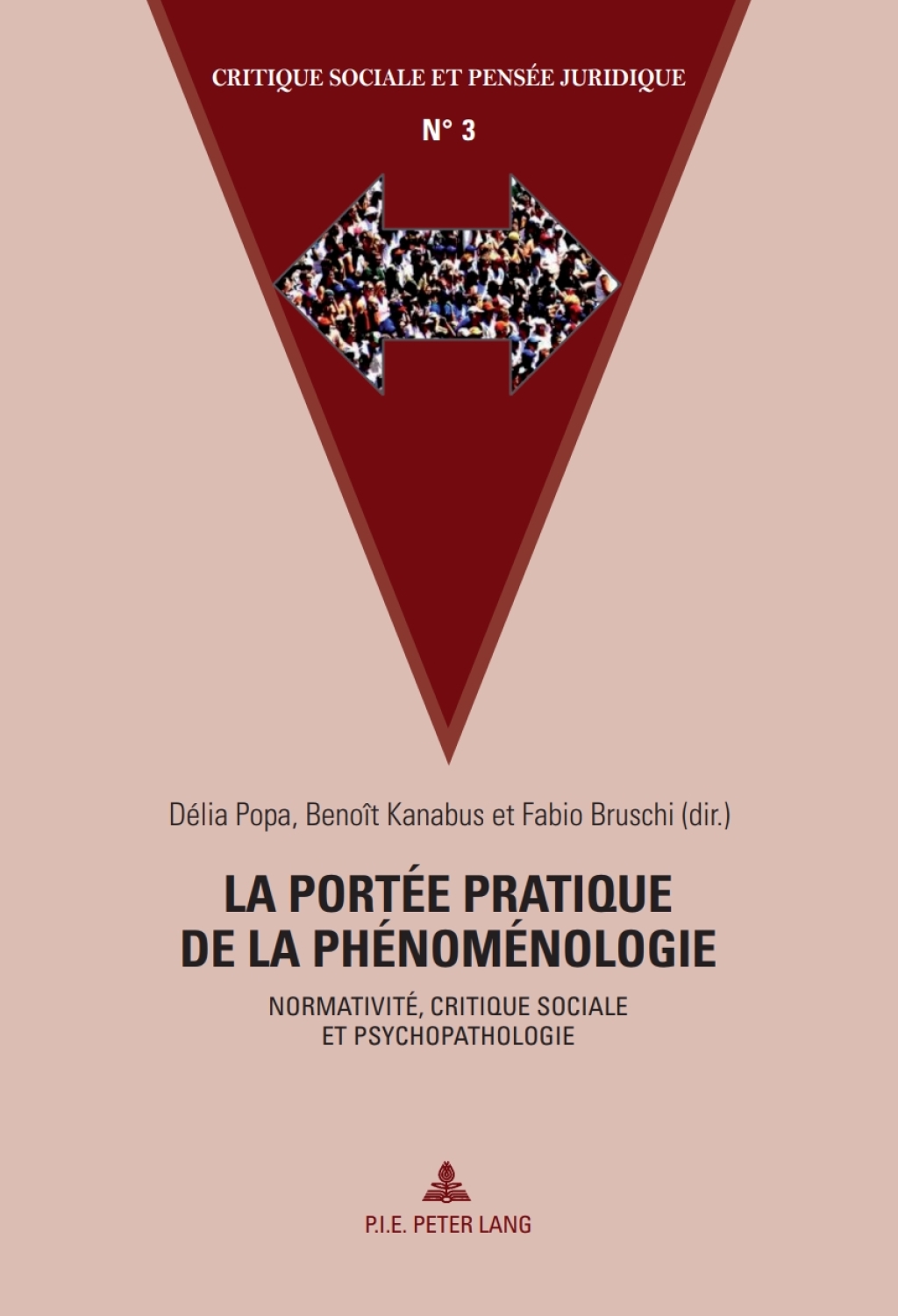 La portÃƒÂ©e pratique de la phÃƒÂ©nomÃƒÂ©nologie NormativitÃƒÂ©, critique sociale et psychopathologie 1st Edition