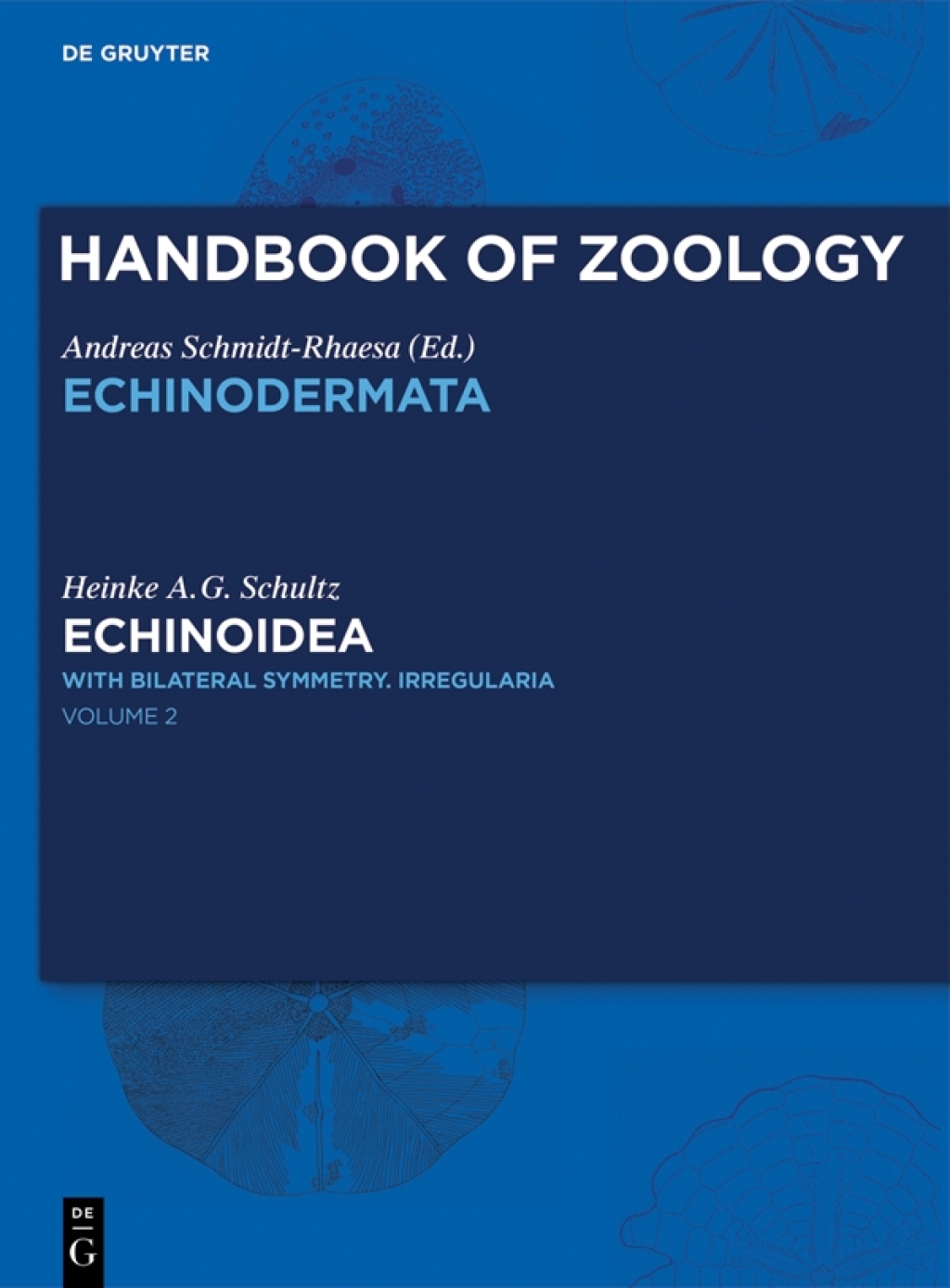 Echinoidea with bilateral symmetry. Irregularia 1st Edition