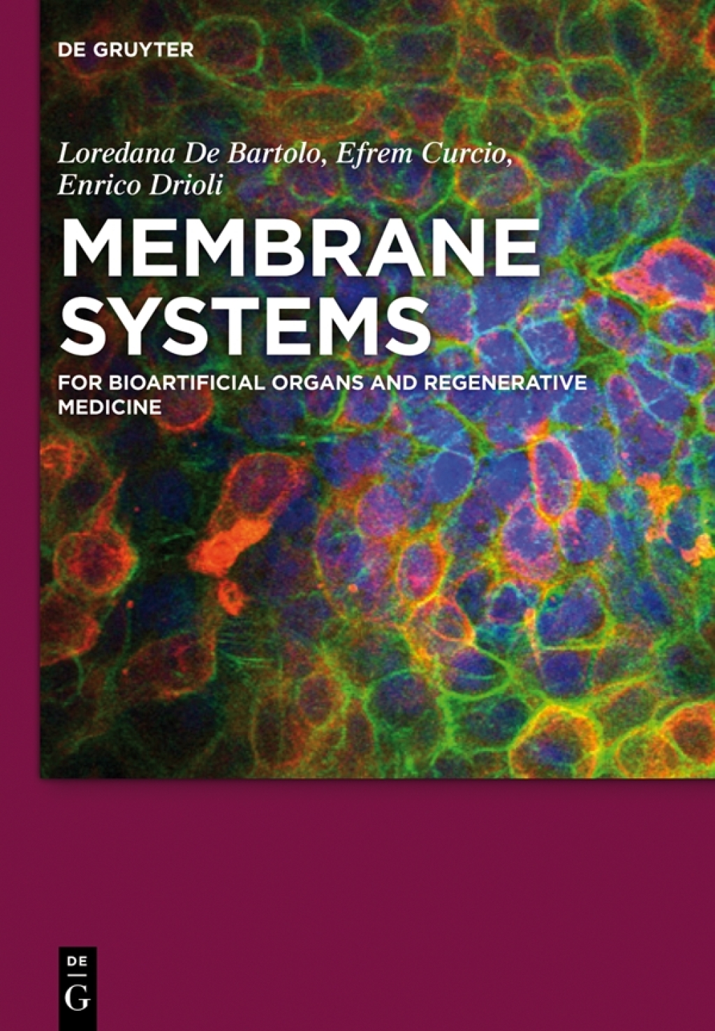 Membrane Systems For Bioartificial Organs and Regenerative Medicine 1st Edition