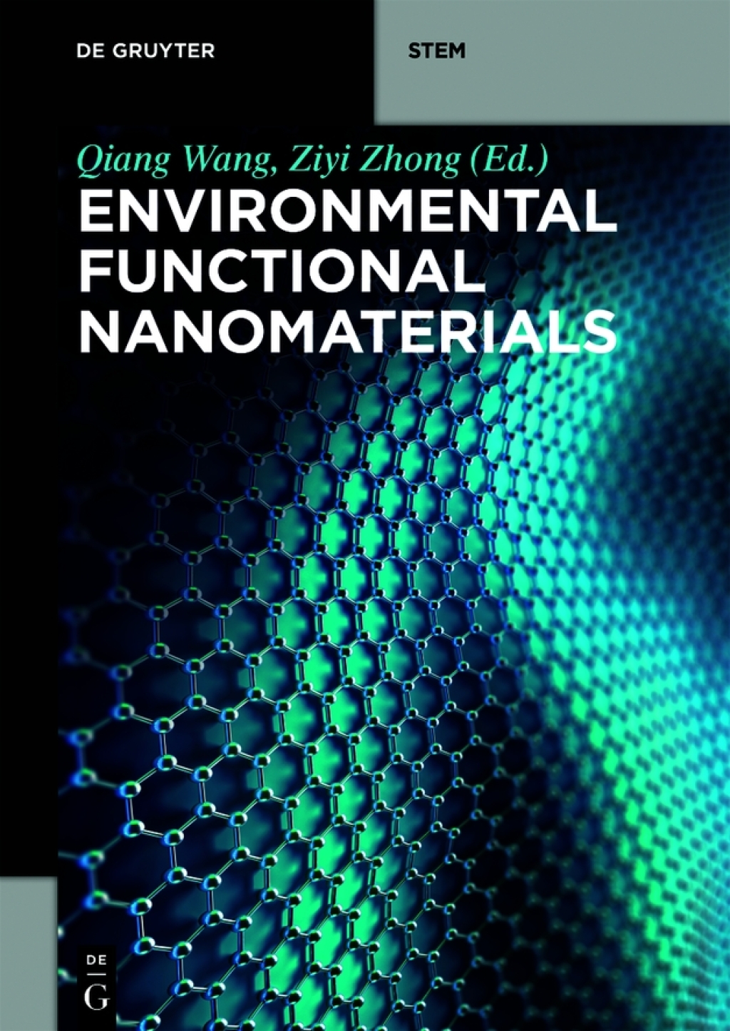 Environmental Functional Nanomaterials 1st Edition