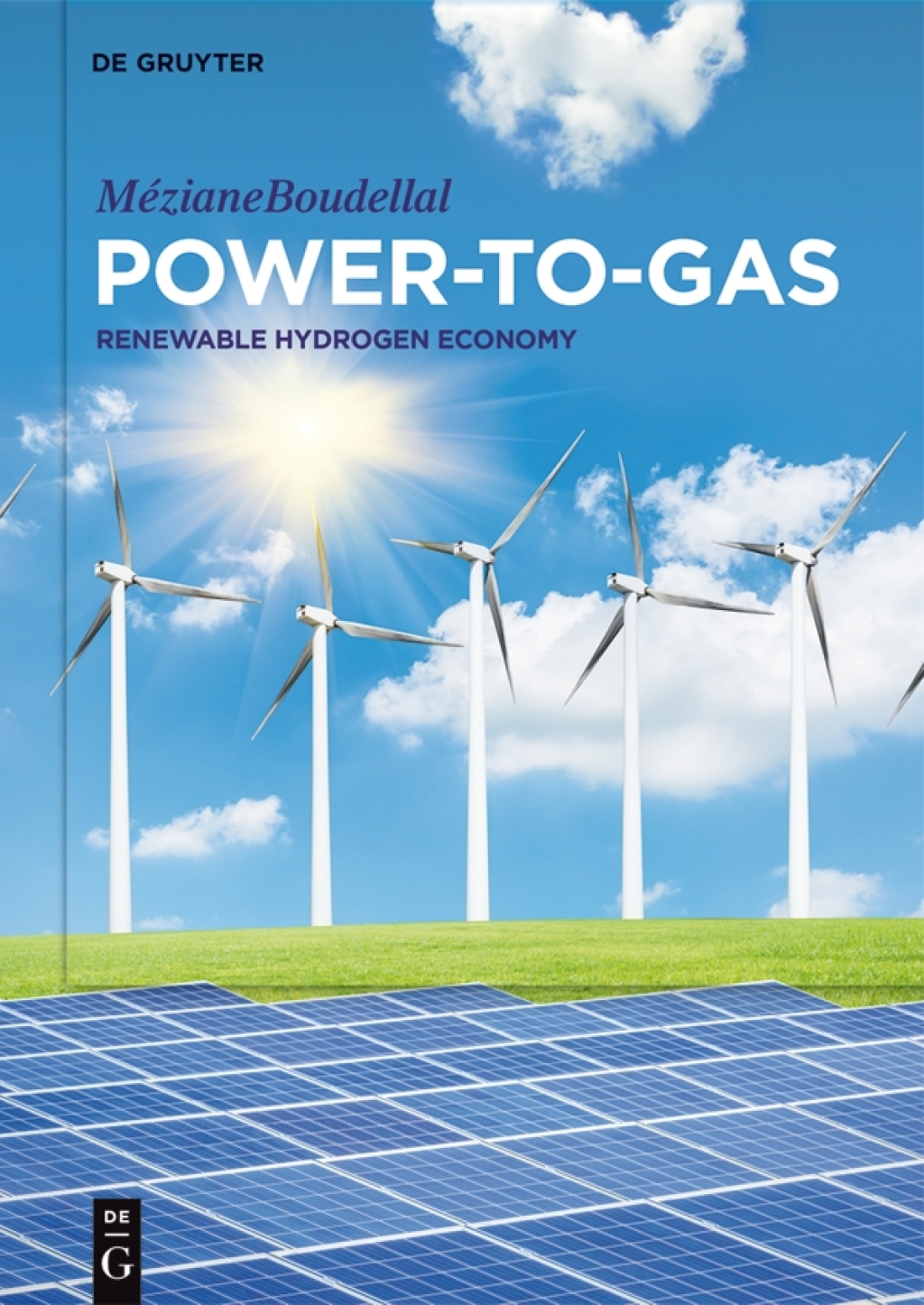 Power-to-Gas Renewable Hydrogen Economy for the Energy Transition 1st Edition
