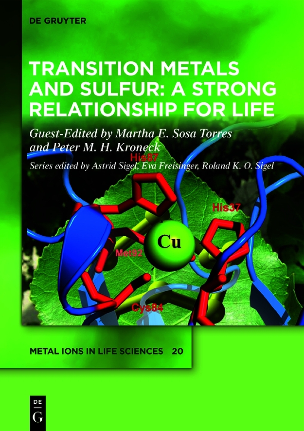 Transition Metals and Sulfur Ã¢â‚¬â€œ A Strong Relationship for Life 1st Edition