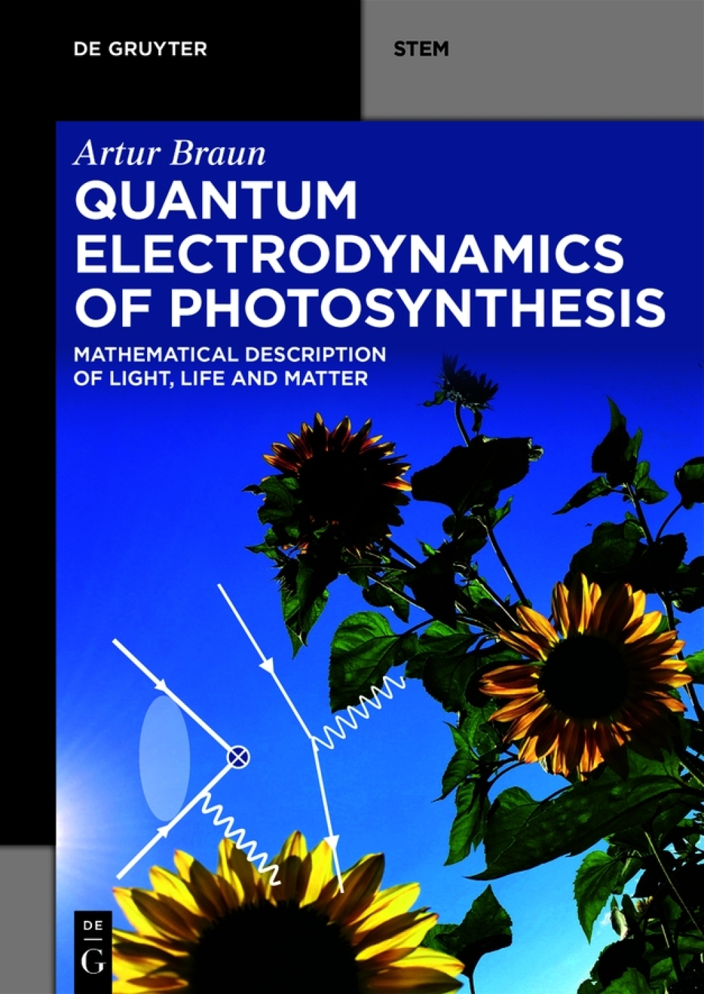 Quantum Electrodynamics of Photosynthesis Mathematical Description of Light, Life and Matter 1st Edition