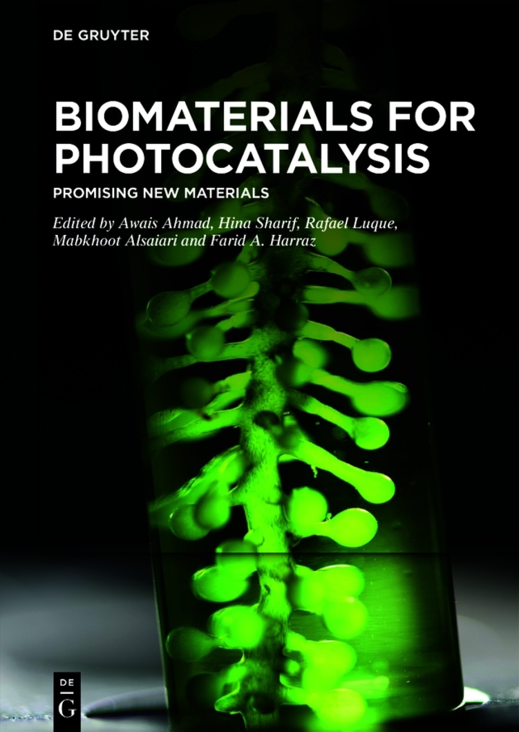 Biomaterials for Photocatalysis Promising New Materials 1st Edition