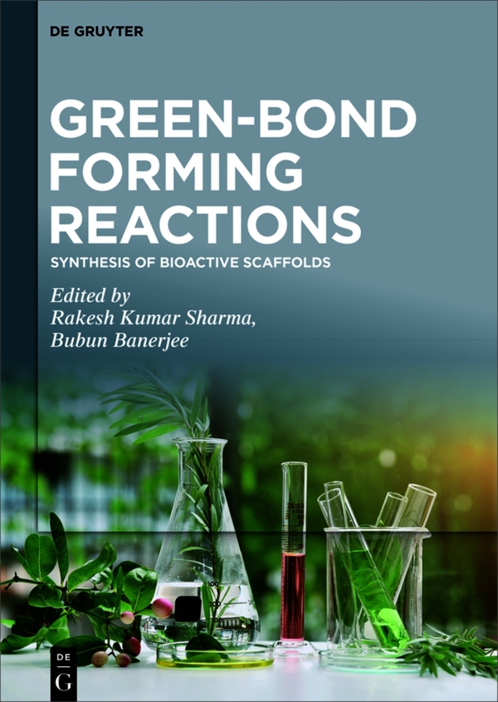 Synthesis of Bioactive Scaffolds 1st Edition