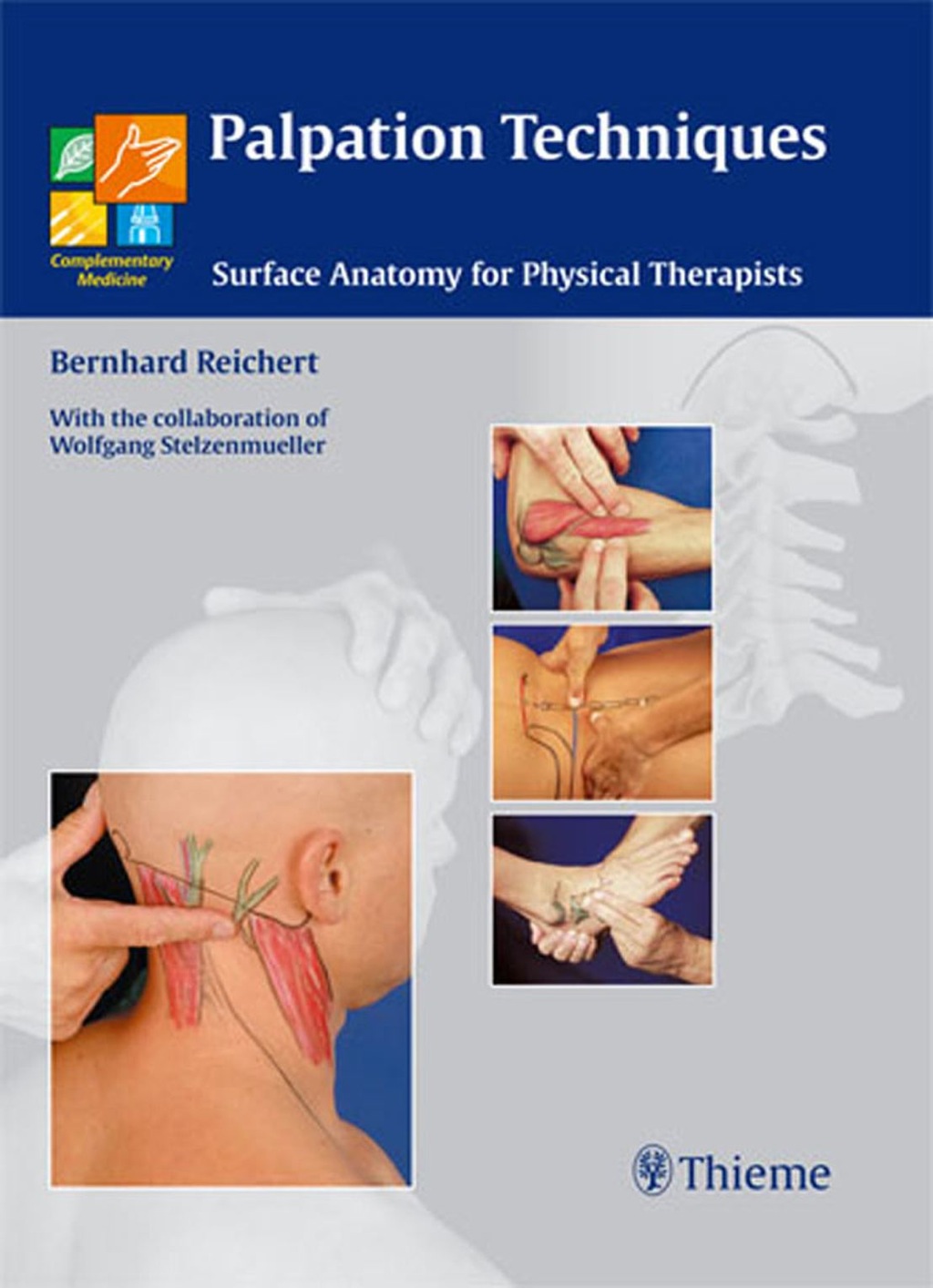 Palpation Techniques Surface Anatomy for Physical Therapists 1st Edition