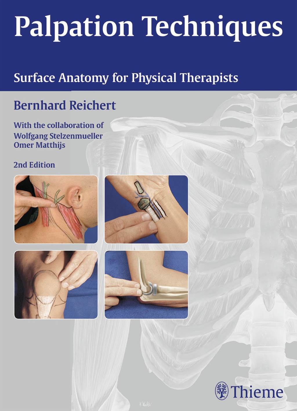 Palpation Techniques Surface Anatomy for Physical Therapists 2nd Edition