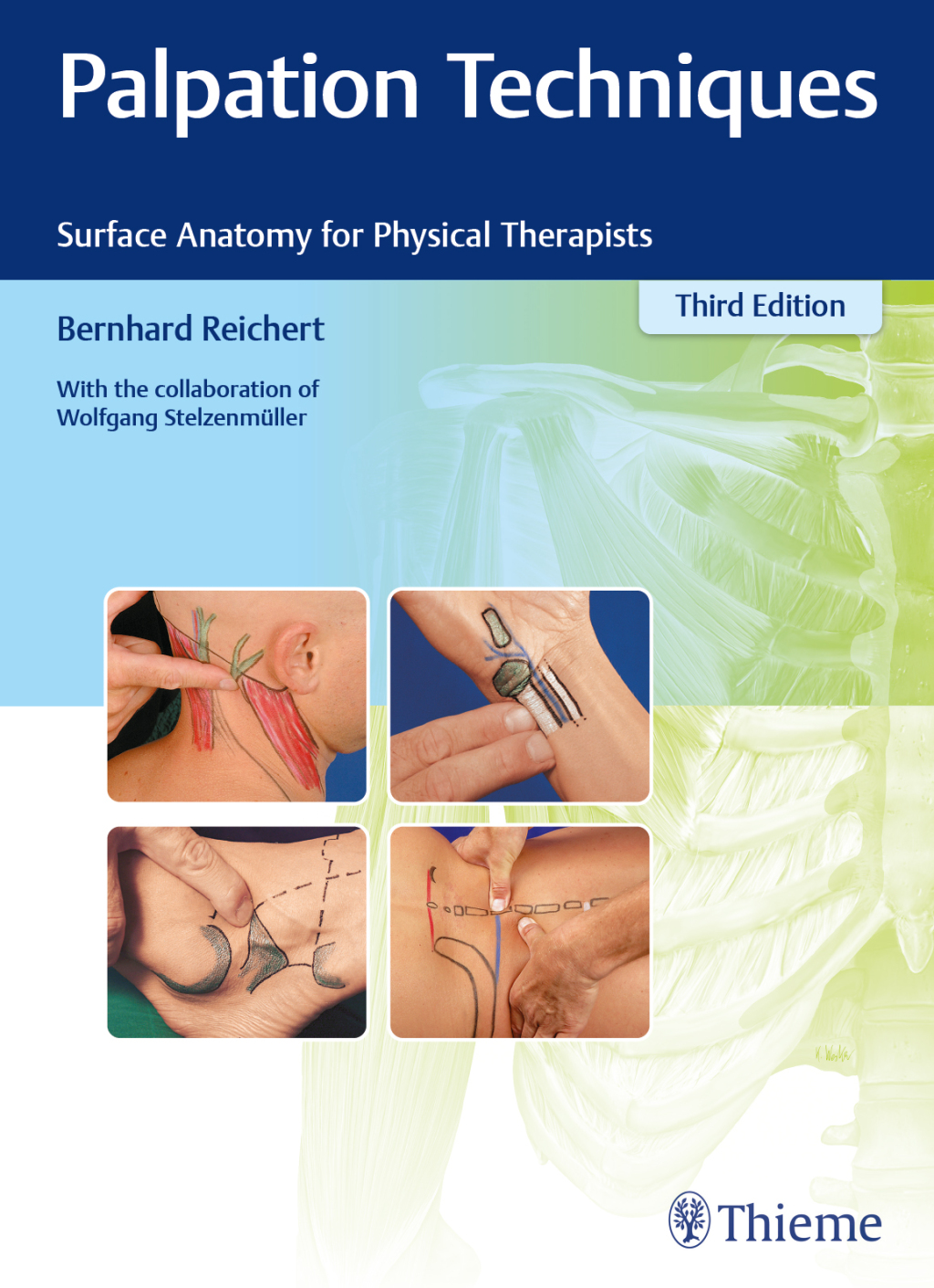 Palpation Techniques Surface Anatomy for Physical Therapists 3rd Edition