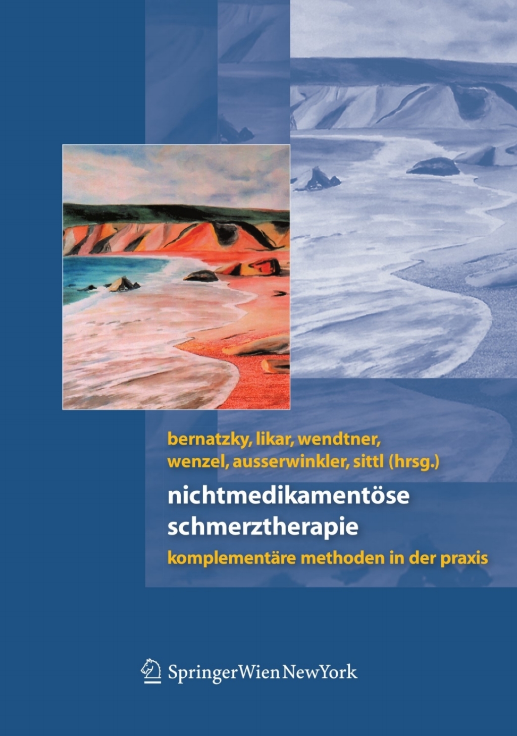 NichtmedikamentÃƒÂ¶se Schmerztherapie KomplementÃƒÂ¤re Methoden in der Praxis 1st Edition