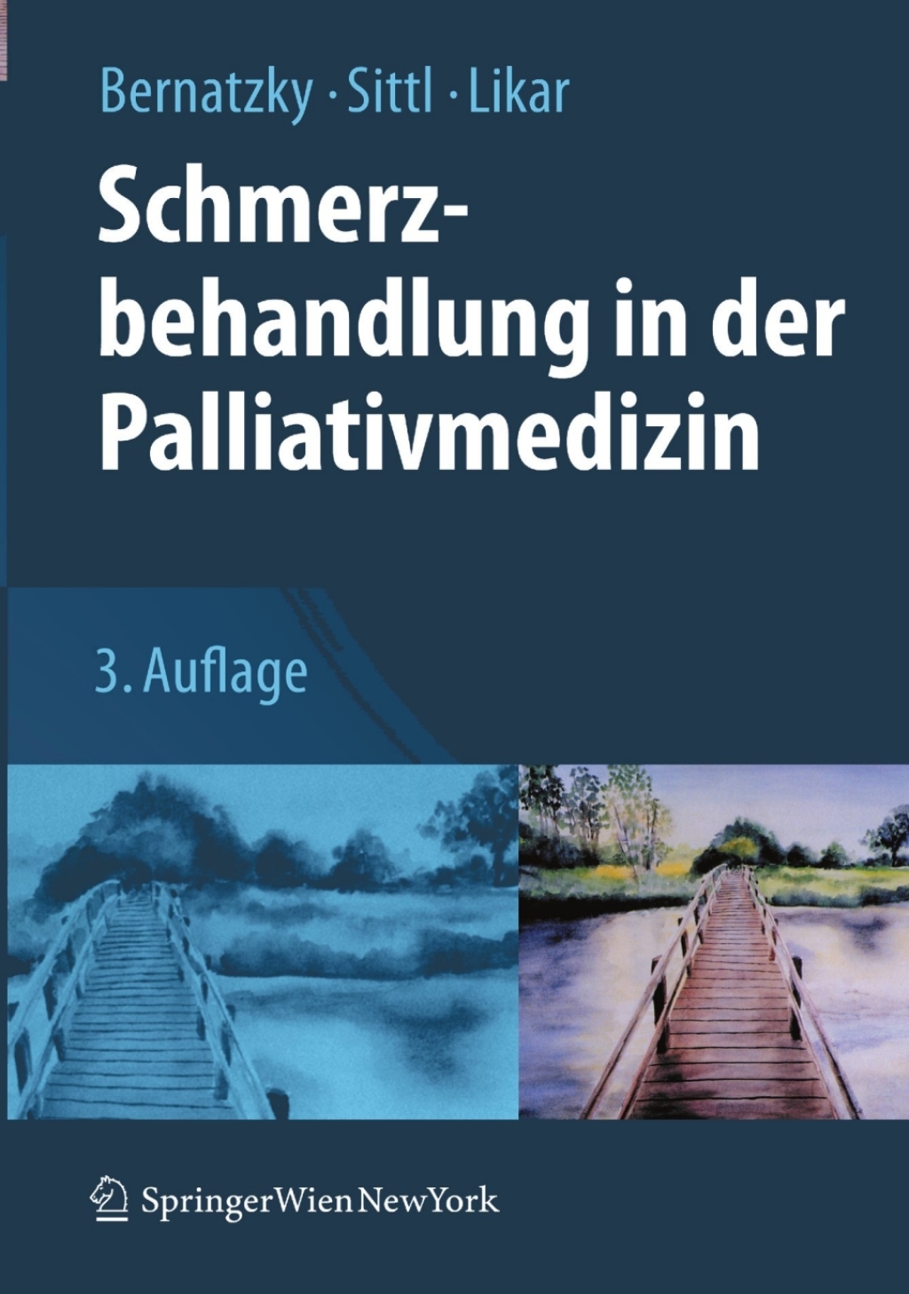 Schmerzbehandlung in der Palliativmedizin 3rd Edition